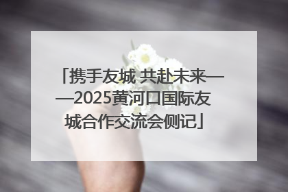 携手友城 共赴未来——2025黄河口国际友城合作交流会侧记