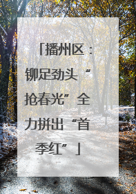 播州区：铆足劲头“抢春光”全力拼出“首季红”