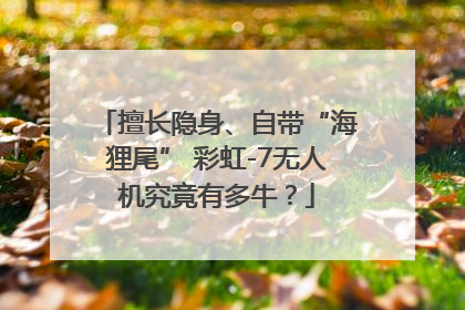 擅长隐身、自带“海狸尾” 彩虹-7无人机究竟有多牛？
