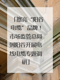 擦亮“阳谷电缆”品牌！市场监管总局到阳谷开展电线电缆专题调研