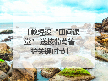 敦煌设“田间课堂” 送技葡萄管护关键时节