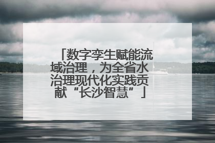 数字孪生赋能流域治理，为全省水治理现代化实践贡献“长沙智慧”