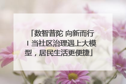 数智普陀 向新而行〡当社区治理遇上大模型，居民生活更便捷