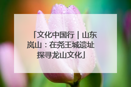 文化中国行｜山东岚山：在尧王城遗址探寻龙山文化
