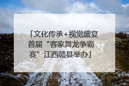 文化传承+视觉盛宴 首届“客家舞龙争霸赛”江西赣县举办