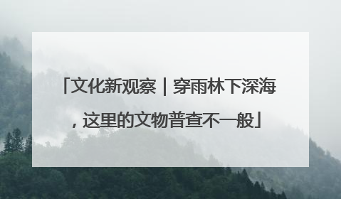 文化新观察｜穿雨林下深海，这里的文物普查不一般