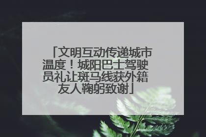 文明互动传递城市温度！城阳巴士驾驶员礼让斑马线获外籍友人鞠躬致谢
