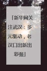 新华网关注武汉：多元驱动，老汉口出新出彩强