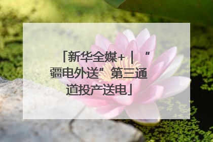 新华全媒+｜“疆电外送”第三通道投产送电