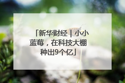 新华财经｜小小蓝莓，在科技大棚种出9个亿