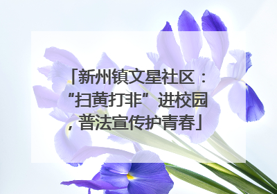 新州镇文星社区：“扫黄打非”进校园，普法宣传护青春