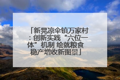 新晃凉伞镇万家村：创新实践“六位一体”机制 绘就粮食稳产增收新图景