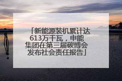 新能源装机累计达613万千瓦，申能集团在第三届碳博会发布社会责任报告