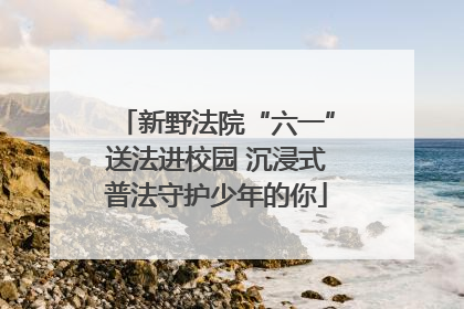 新野法院“六一”送法进校园 沉浸式普法守护少年的你