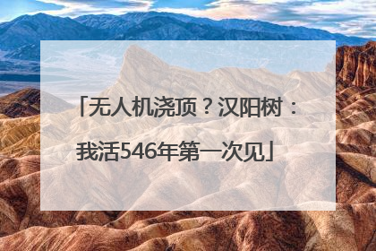 无人机浇顶？汉阳树：我活546年第一次见
