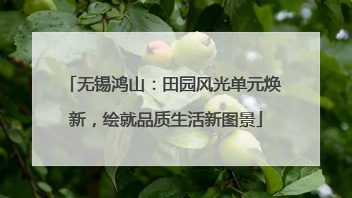 无锡鸿山：田园风光单元焕新，绘就品质生活新图景
