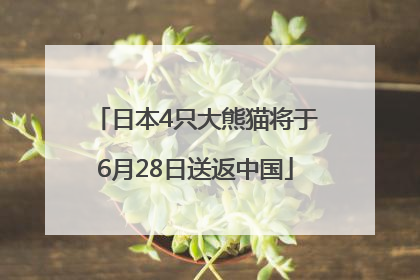 日本4只大熊猫将于6月28日送返中国