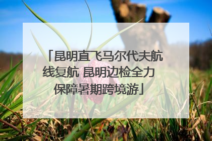 昆明直飞马尔代夫航线复航 昆明边检全力保障暑期跨境游