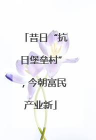 昔日“抗日堡垒村”，今朝富民产业新