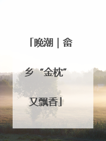 晚潮｜畲乡“金枕”又飘香