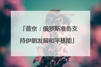 普京：俄罗斯准备支持伊朗发展和平核能