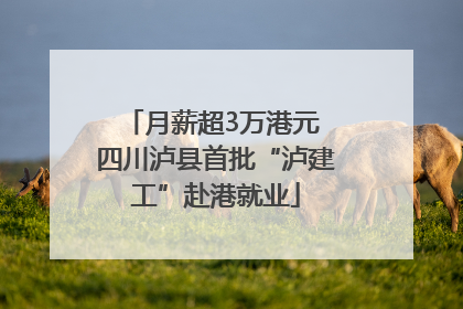 月薪超3万港元 四川泸县首批“泸建工”赴港就业