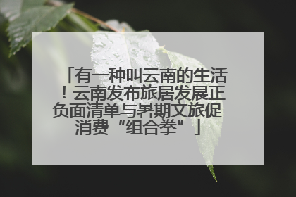 有一种叫云南的生活！云南发布旅居发展正负面清单与暑期文旅促消费“组合拳”
