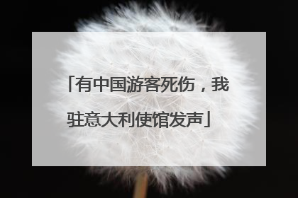 有中国游客死伤，我驻意大利使馆发声