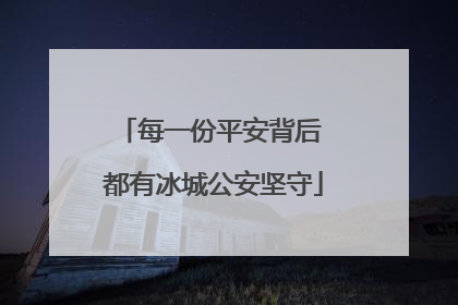每一份平安背后 都有冰城公安坚守