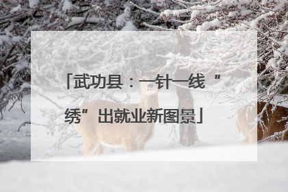 武功县：一针一线“绣”出就业新图景