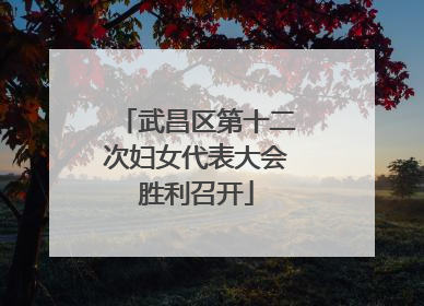 武昌区第十二次妇女代表大会胜利召开