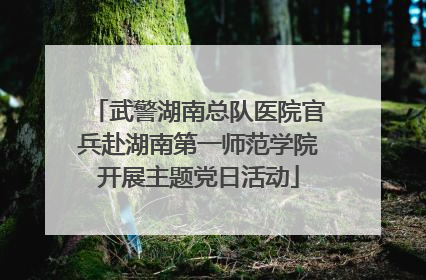 武警湖南总队医院官兵赴湖南第一师范学院开展主题党日活动