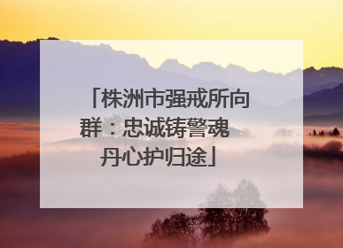 株洲市强戒所向群：忠诚铸警魂 丹心护归途