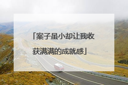 案子虽小却让我收获满满的成就感