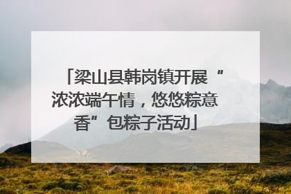 梁山县韩岗镇开展“浓浓端午情，悠悠粽意香”包粽子活动