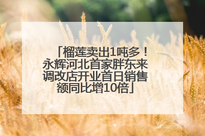 榴莲卖出1吨多！永辉河北首家胖东来调改店开业首日销售额同比增10倍