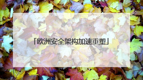 欧洲安全架构加速重塑