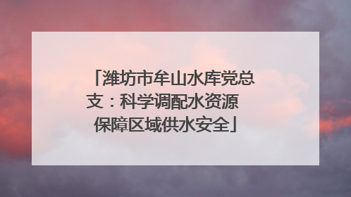 潍坊市牟山水库党总支：科学调配水资源 保障区域供水安全