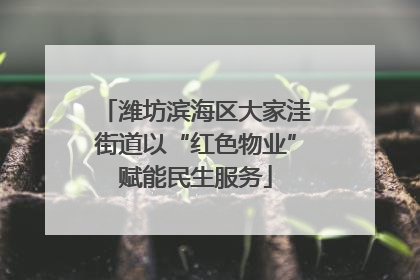 潍坊滨海区大家洼街道以“红色物业”赋能民生服务