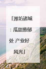 潍坊诸城：瓜甜葱郁处 产业好风光
