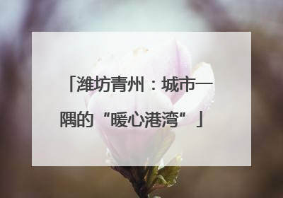 潍坊青州：城市一隅的“暖心港湾”