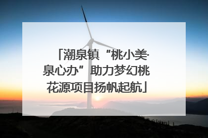 潮泉镇“桃小美·泉心办”助力梦幻桃花源项目扬帆起航