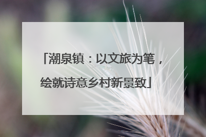 潮泉镇：以文旅为笔，绘就诗意乡村新景致