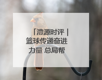 澧源时评｜篮球传递奋进力量 总局帮扶筑梦桑植