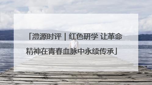 澧源时评｜红色研学 让革命精神在青春血脉中永续传承