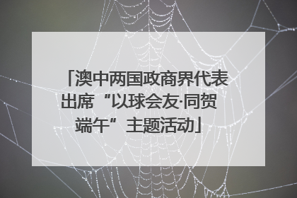澳中两国政商界代表出席“以球会友·同贺端午”主题活动