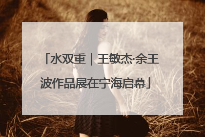 水双重｜王敏杰·余王波作品展在宁海启幕