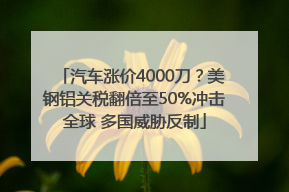 汽车涨价4000刀？美钢铝关税翻倍至50%冲击全球 多国威胁反制