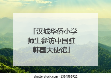 汉城华侨小学师生参访中国驻韩国大使馆