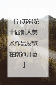 江苏省第十届新人美术作品展览在南通开幕